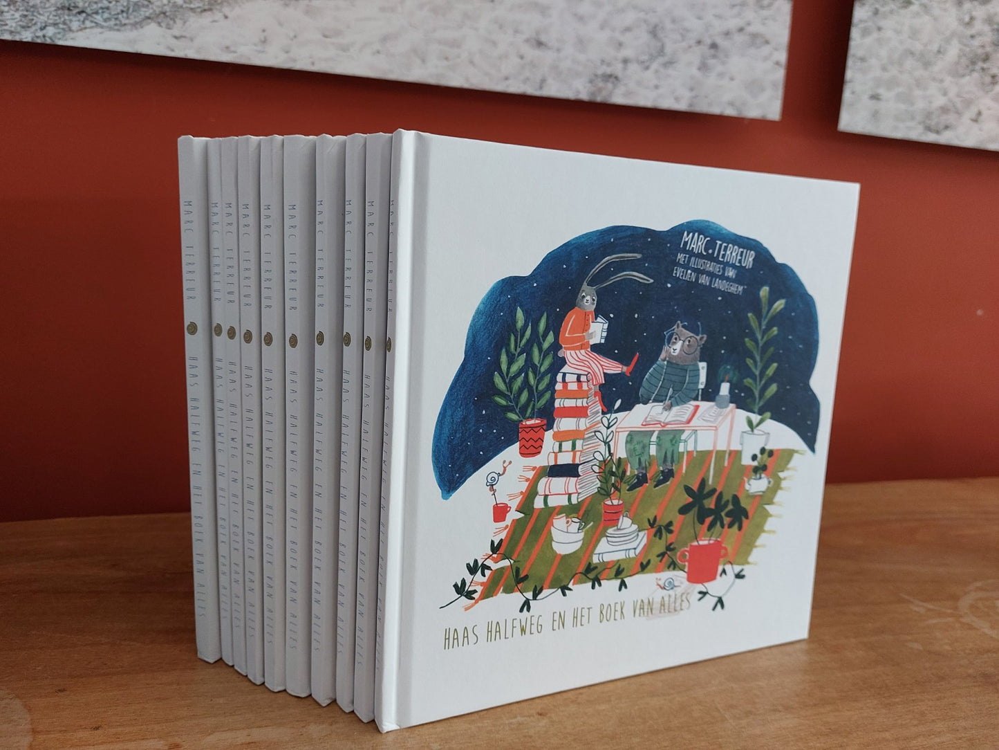 'Haas Halfweg en het Boek van Alles' - harde kaft (NL)